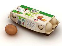 Egg Carton 001