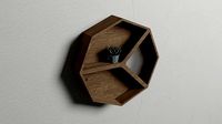 Hexagon mirror with shelves