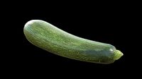 Zucchini