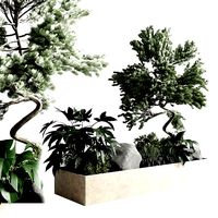 bonsai tree with plants set in the garden 290