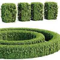Laurel Hedging Bushes collection vol 129