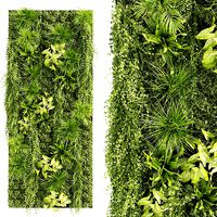 Collection plant vol 386 - fitowall - ertical - leaf - palm