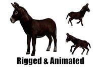 animated donkey