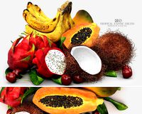 tropical exotic fruits