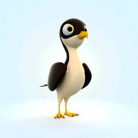 Falcon