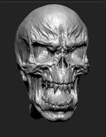 skull