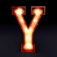 Marquee letter Y wooden glow sign 3dmodel