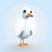 Cartoon Duck