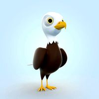 Eagle