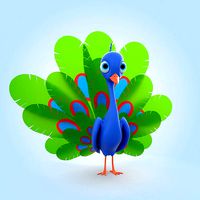 Peacock