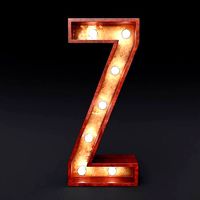 Marquee letter Z light bulb wooden glow sign 3dmodel
