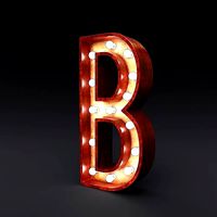 Marquee letter B light bulb wooden glow sign 3dmodel