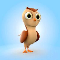 Cartoon Owl