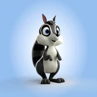 Racoon