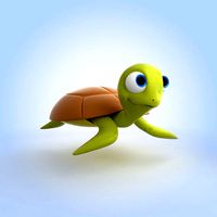 Sea Turtle