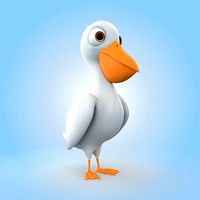 Pelican