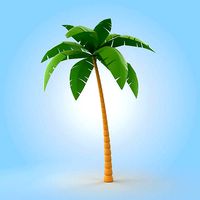 Cartoon Palm