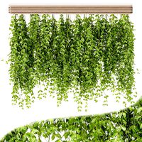 Hanging plants for indoor vol 124