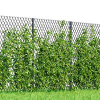 Ivy-fence collection vol 123