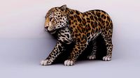 ANIMATED BABY JAGUAR GAME READY