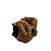 Petrified Wood 2