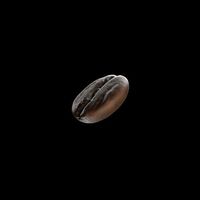Coffee Bean Model - Super realistic