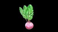 Beetroot