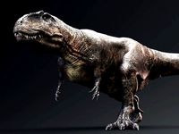 Giganotosaurus Real Dinosaur Series