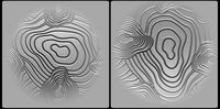 25 Organic Pattern Alphas High Quality