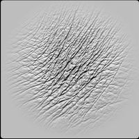 10 Elephant Skin Alphas High Quality Detail
