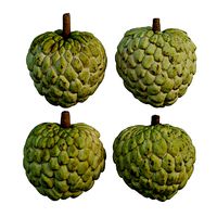 Annona squamosa 03