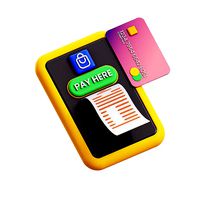 Online Payment