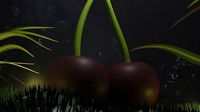 Cherry