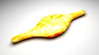 Shoti Puri