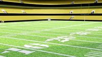 Nfl American Stadium