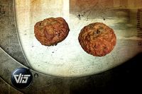 Scanned Bread Rolls 1