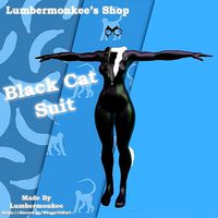 Black Cat Outfit