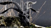 demon goat skull black