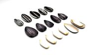 Sunflower Seeds Set