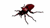 Bug low poly