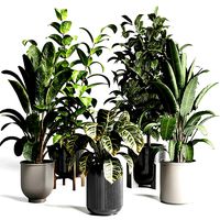 Collection indoor plant 276 pot concrete dirt vase