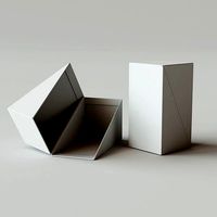 Wide triangular flip-top box  - Package 3D model