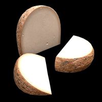 Medium Gouda Cheese Chunks