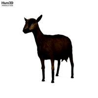 Alpine Goat HD