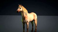 Horse model