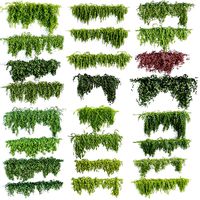 Collection of hanging plants