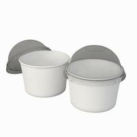 Ice Cream Cup