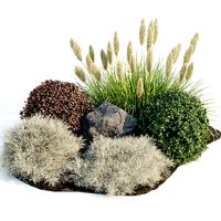 Garden Set Plants collection vol 120