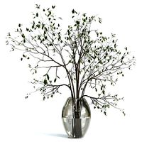Branches plant with galss vase white - bouquet 24