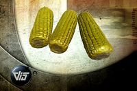 Scanned Corn